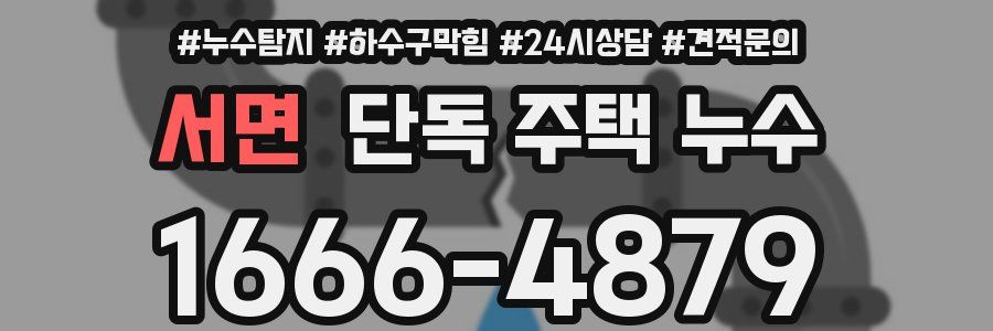 서면 단독 주택 누수