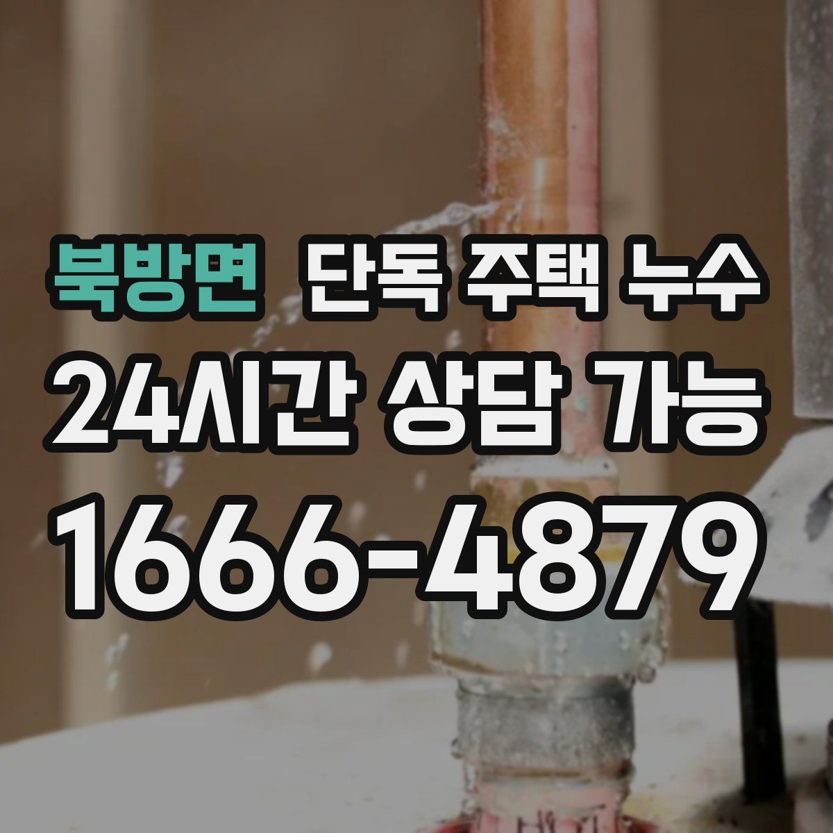 북방면 단독 주택 누수