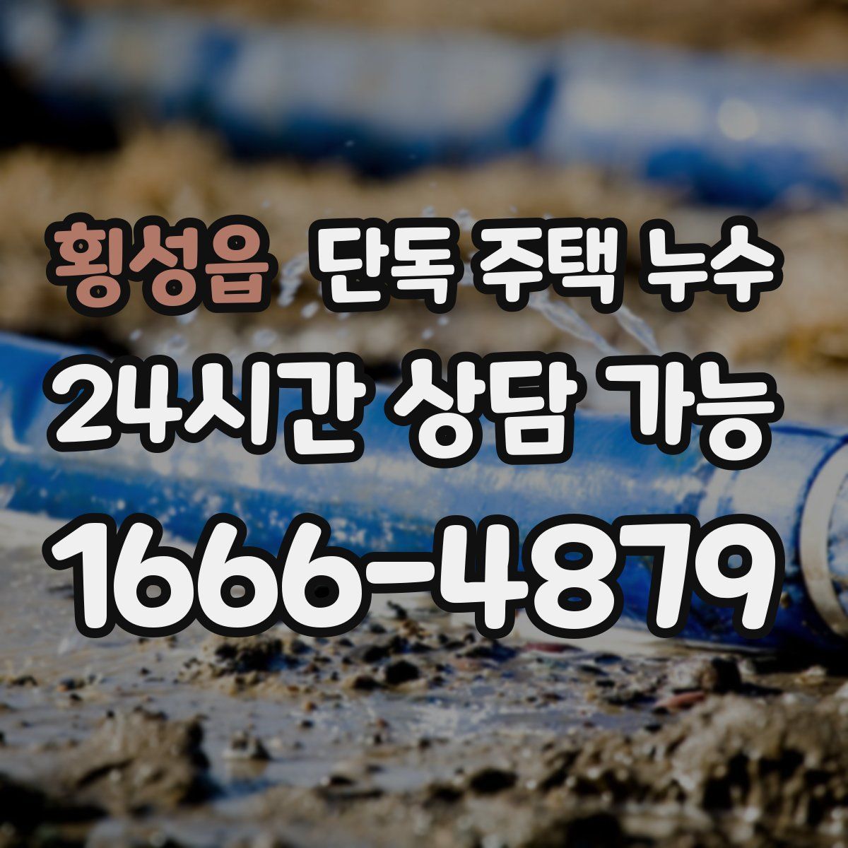 횡성읍 단독 주택 누수