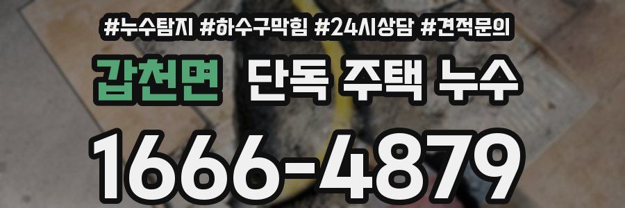 갑천면 단독 주택 누수