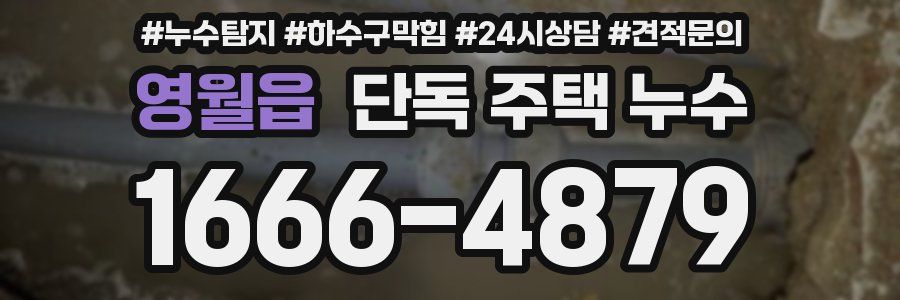 영월읍 단독 주택 누수
