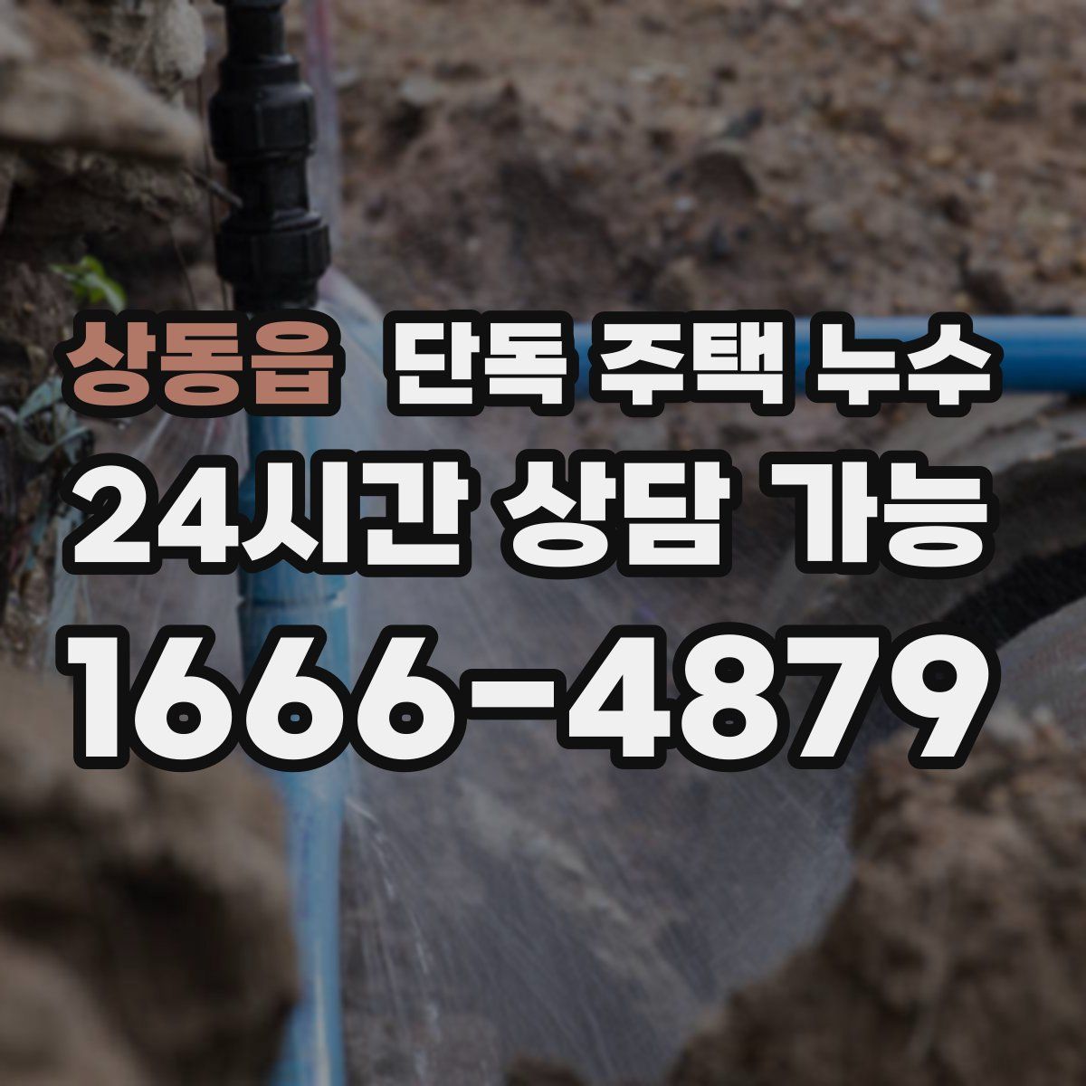 상동읍 단독 주택 누수