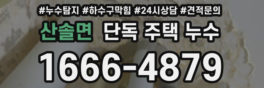 산솔면 단독 주택 누수