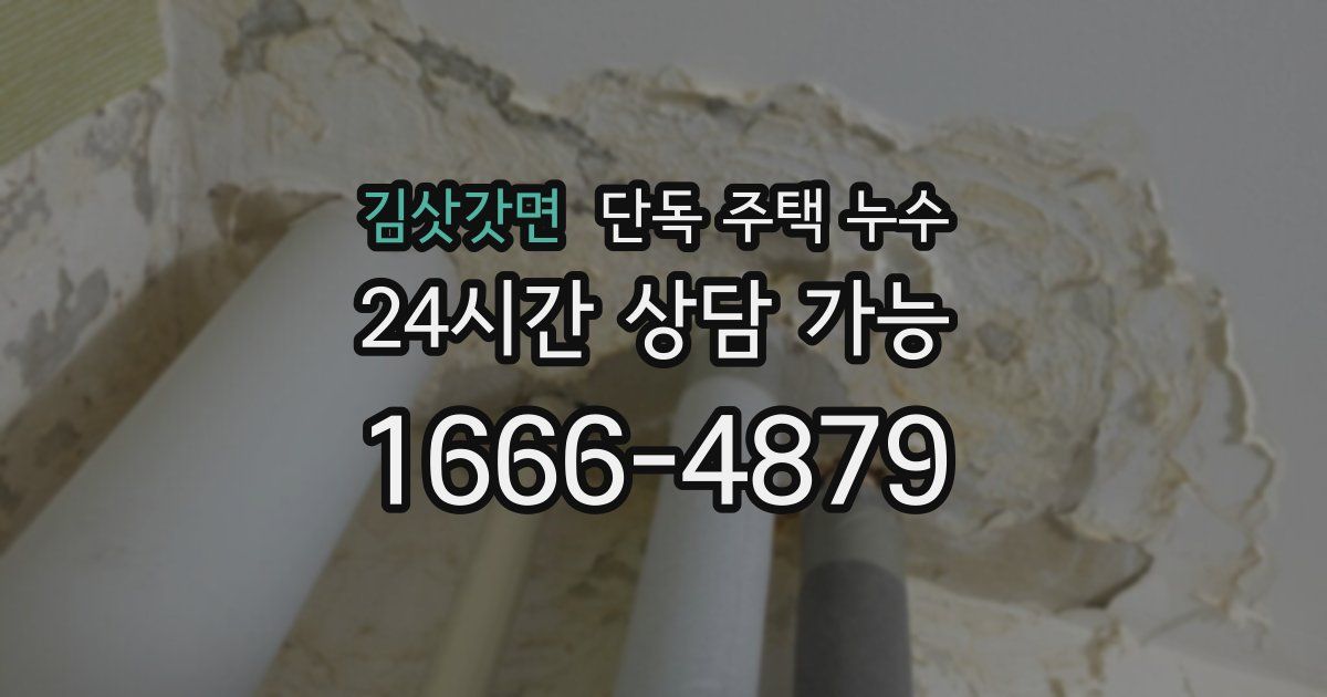 김삿갓면 단독 주택 누수