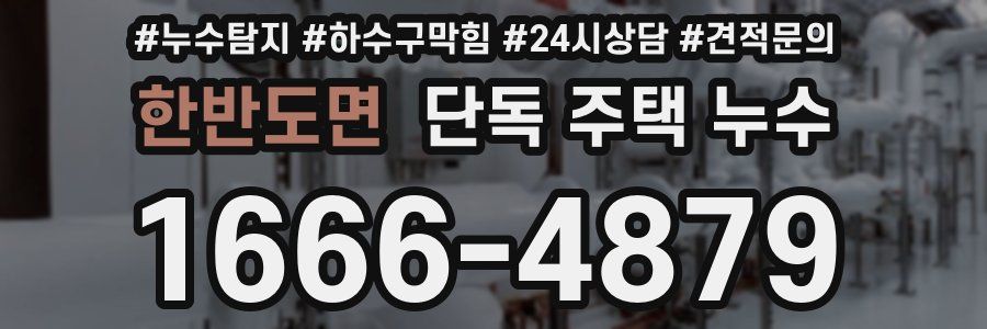 한반도면 단독 주택 누수