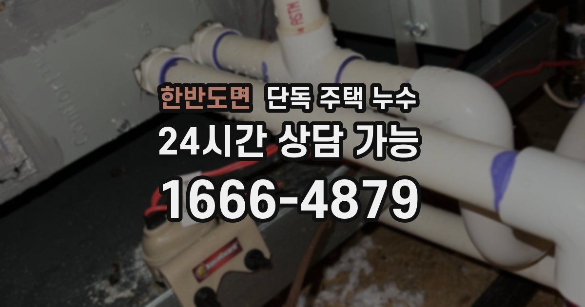 한반도면 단독 주택 누수