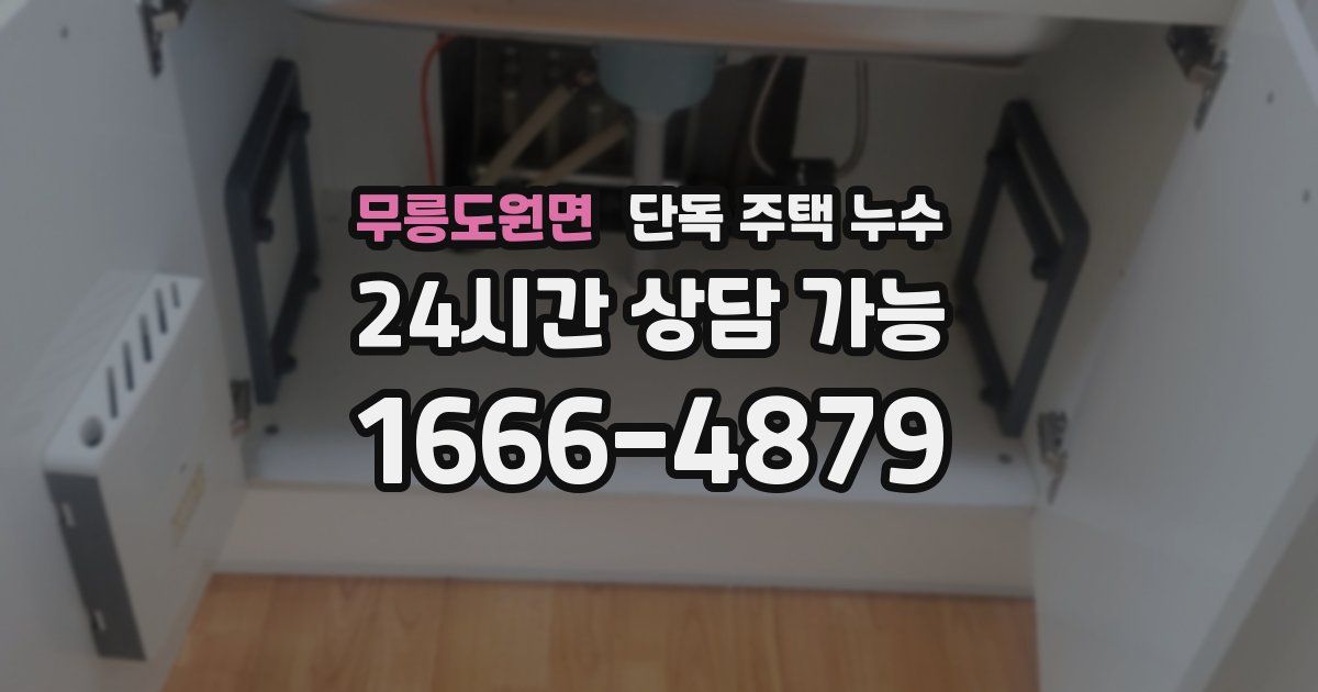 무릉도원면 단독 주택 누수