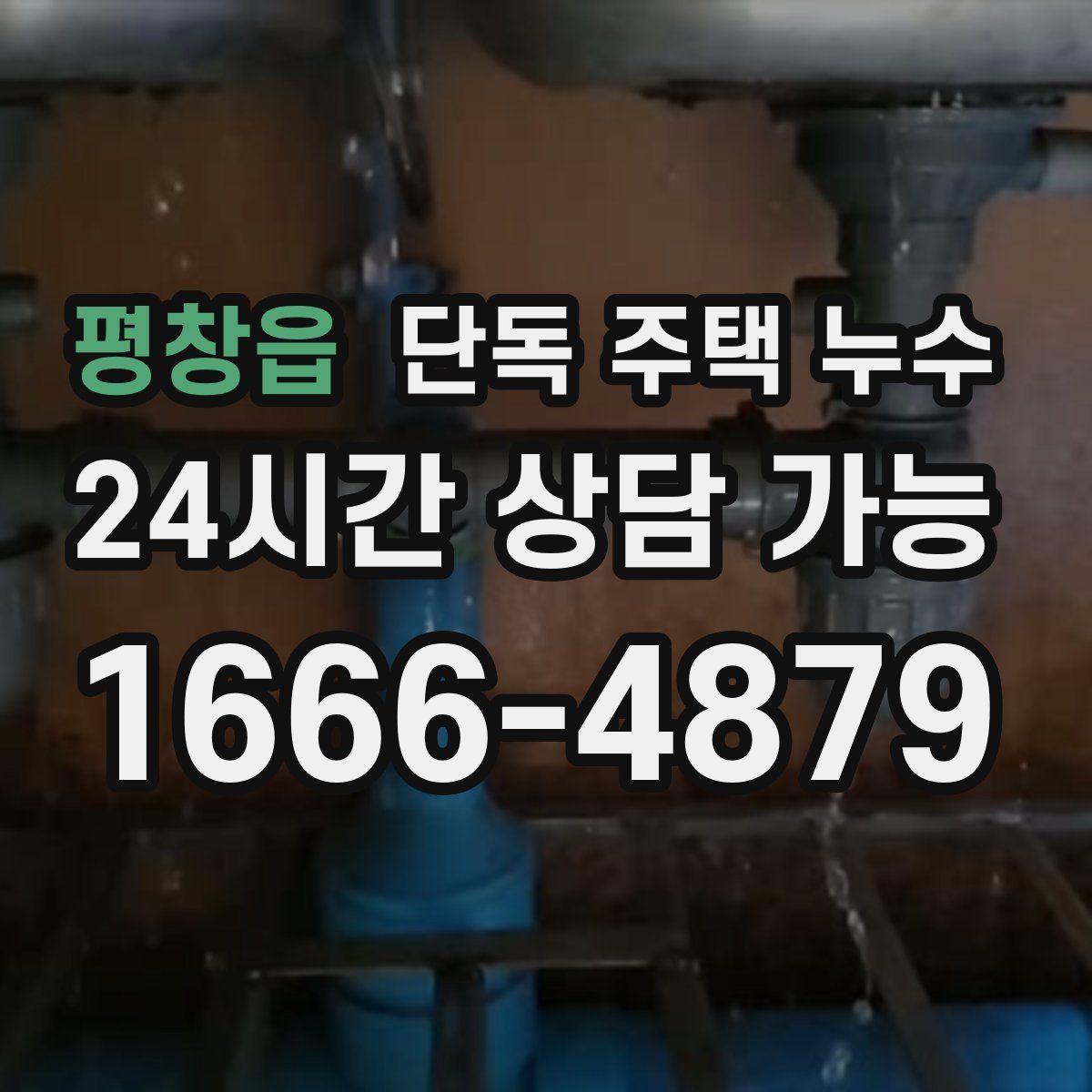 평창읍 단독 주택 누수