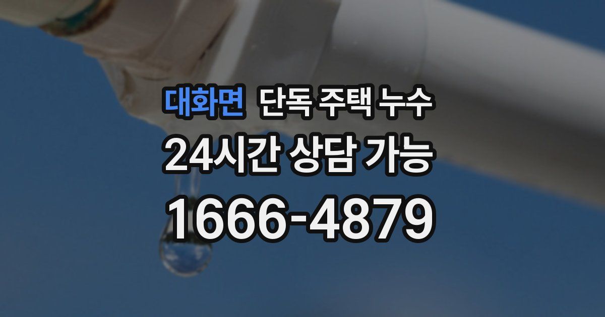 대화면 단독 주택 누수
