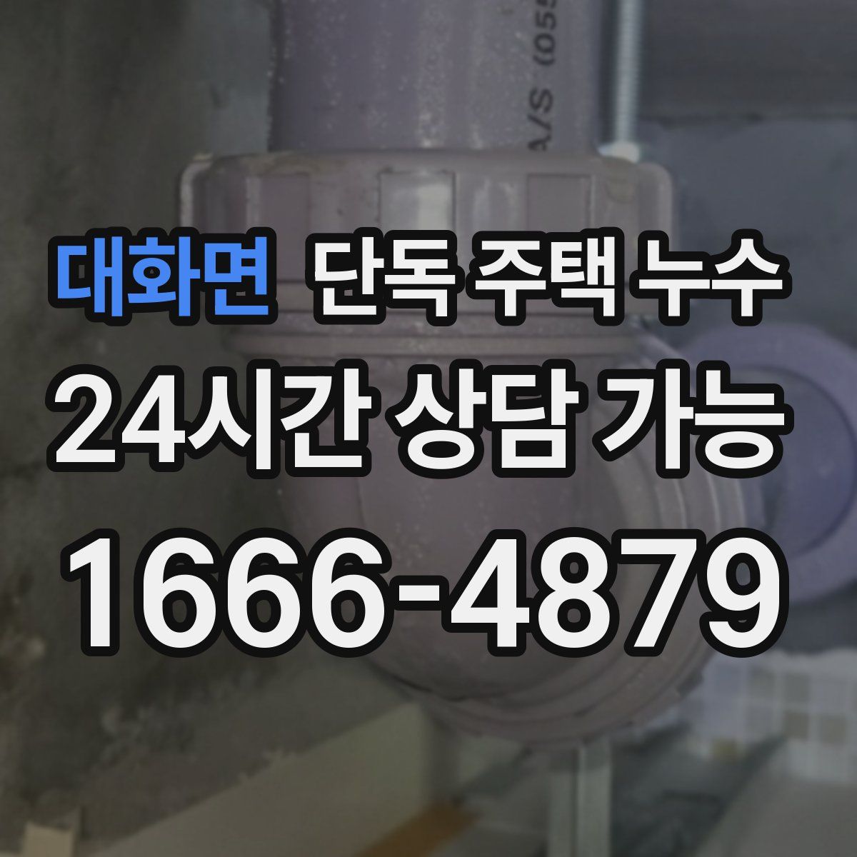 대화면 단독 주택 누수