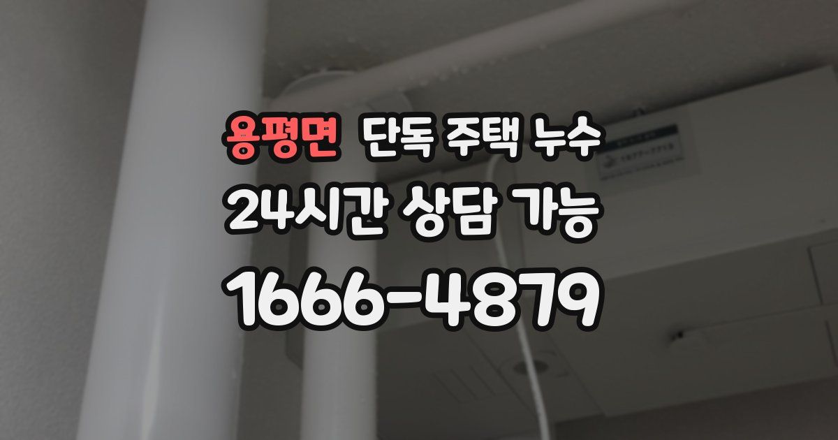 용평면 단독 주택 누수