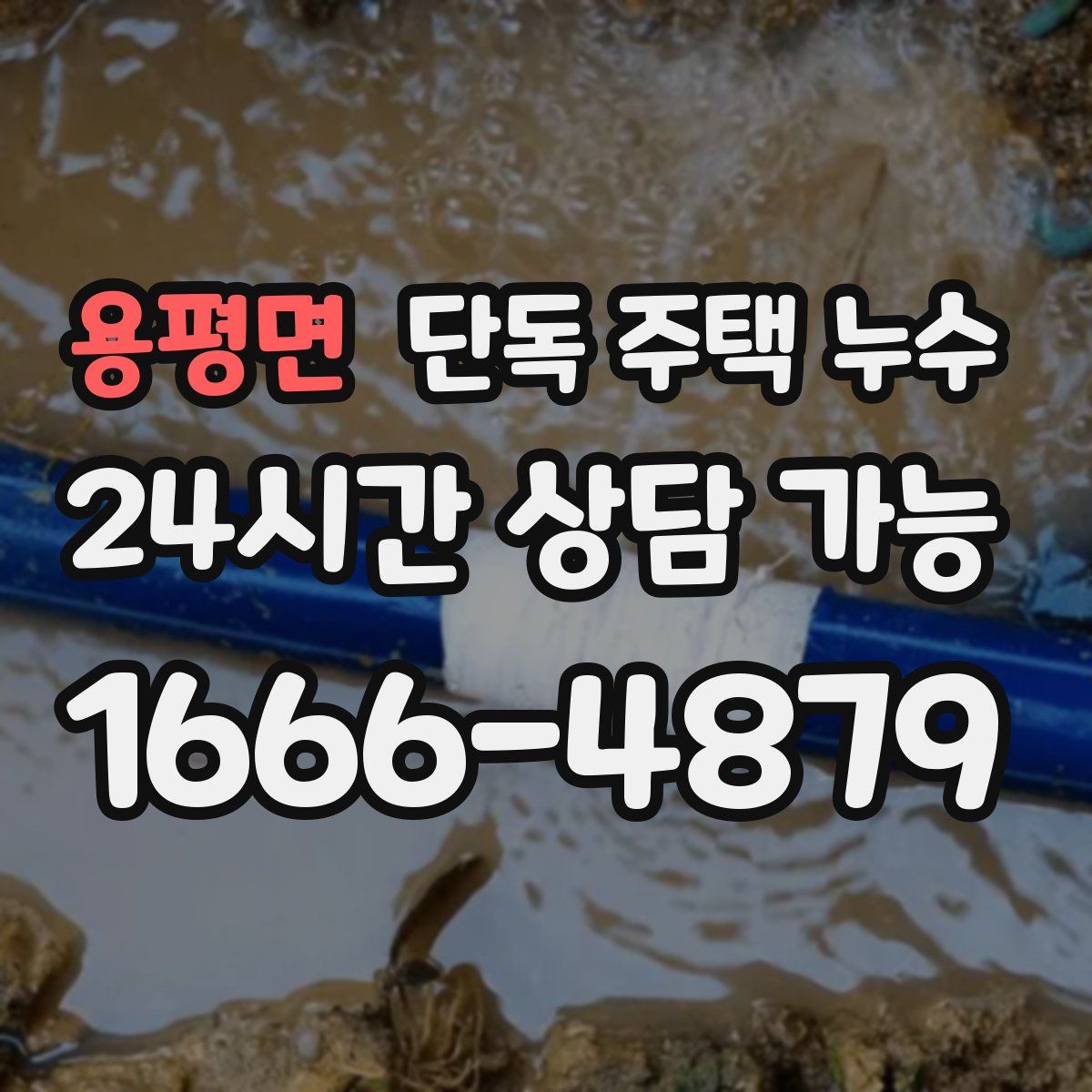 용평면 단독 주택 누수