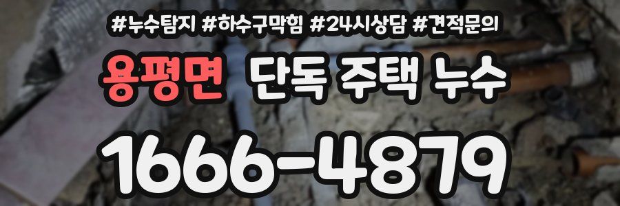 용평면 단독 주택 누수