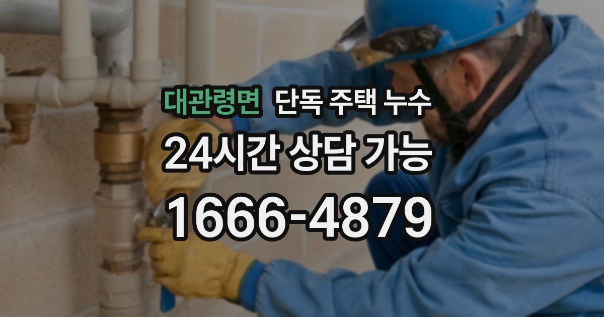 대관령면 단독 주택 누수