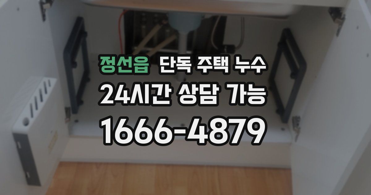 정선읍 단독 주택 누수