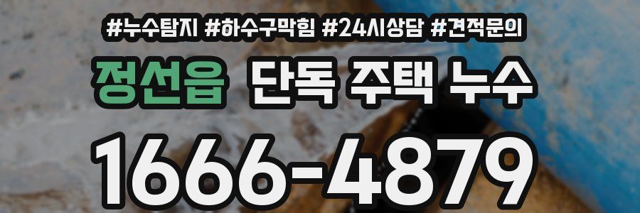 정선읍 단독 주택 누수