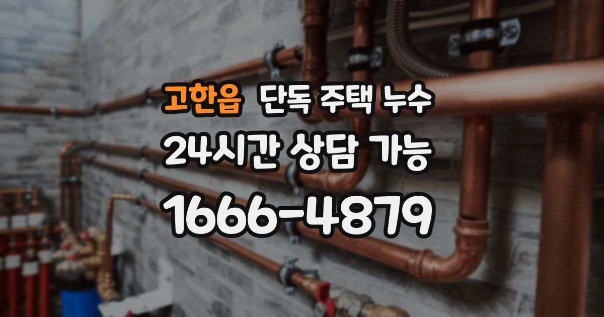 고한읍 단독 주택 누수