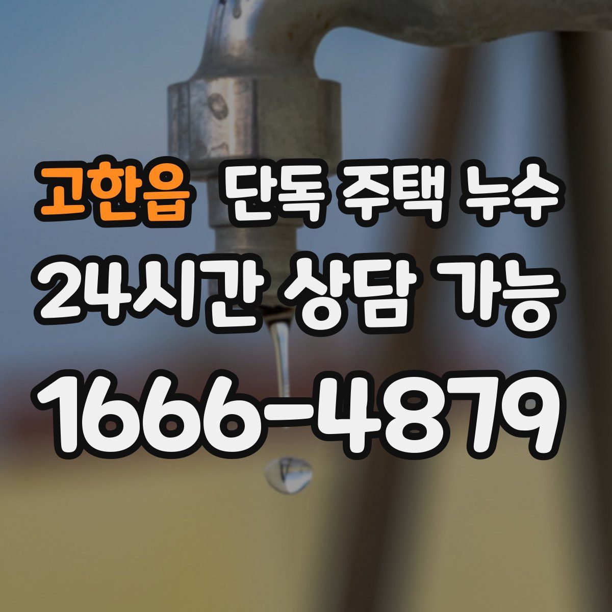 고한읍 단독 주택 누수