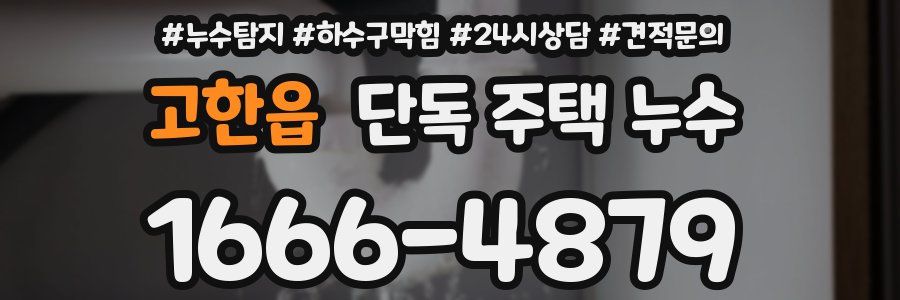 고한읍 단독 주택 누수