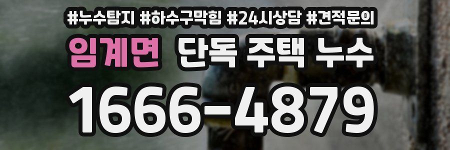 임계면 단독 주택 누수