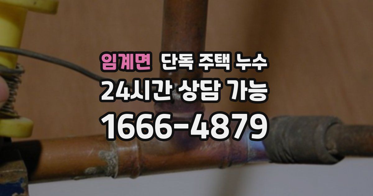 임계면 단독 주택 누수