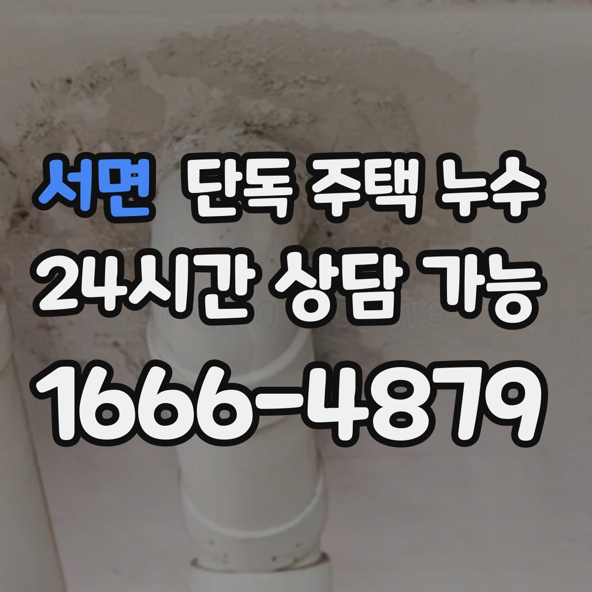 서면 단독 주택 누수