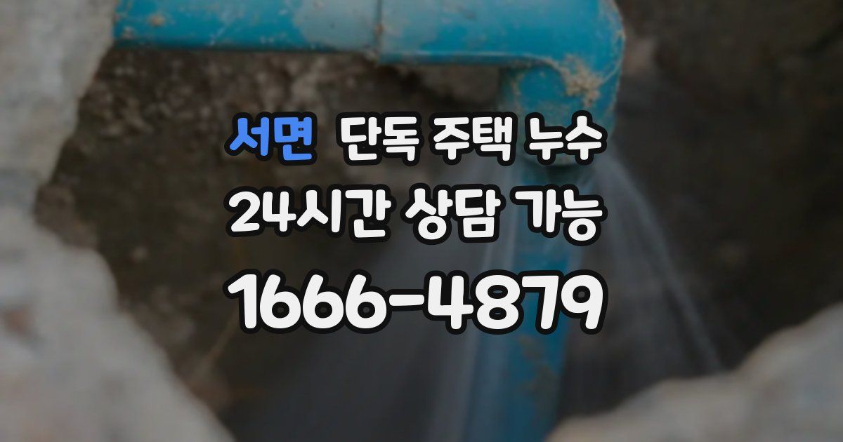 서면 단독 주택 누수