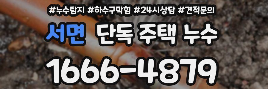 서면 단독 주택 누수