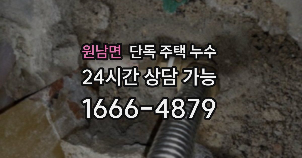 원남면 단독 주택 누수