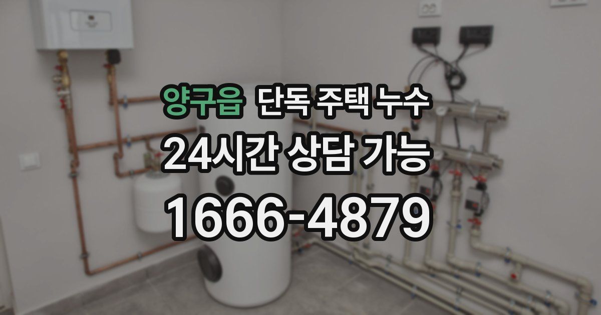 양구읍 단독 주택 누수