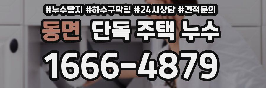 동면 단독 주택 누수