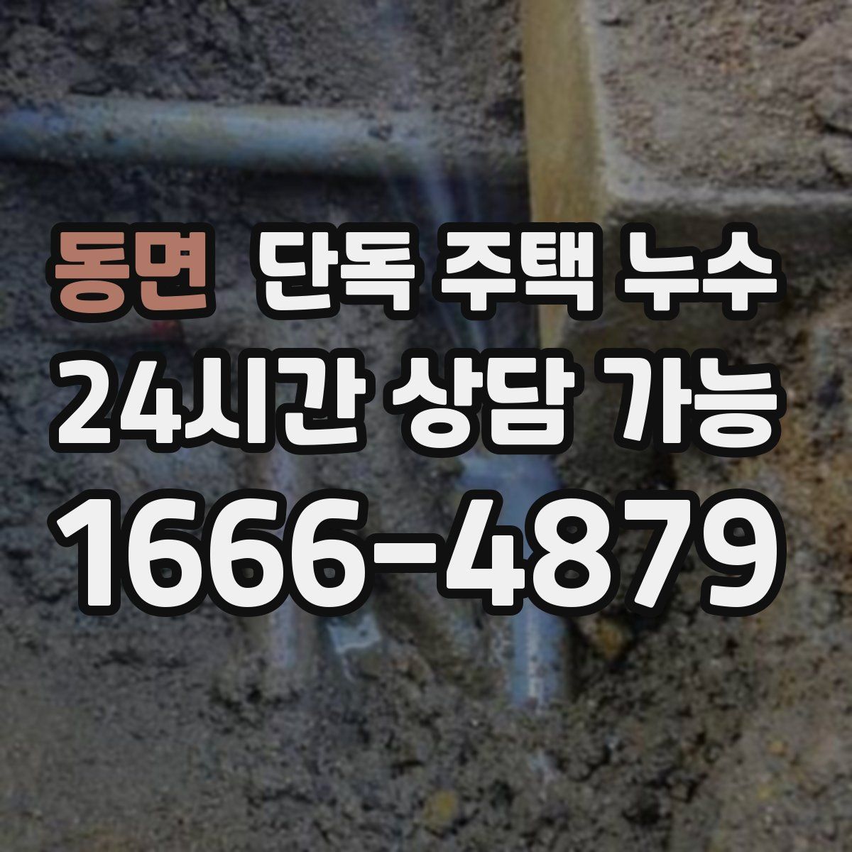 동면 단독 주택 누수