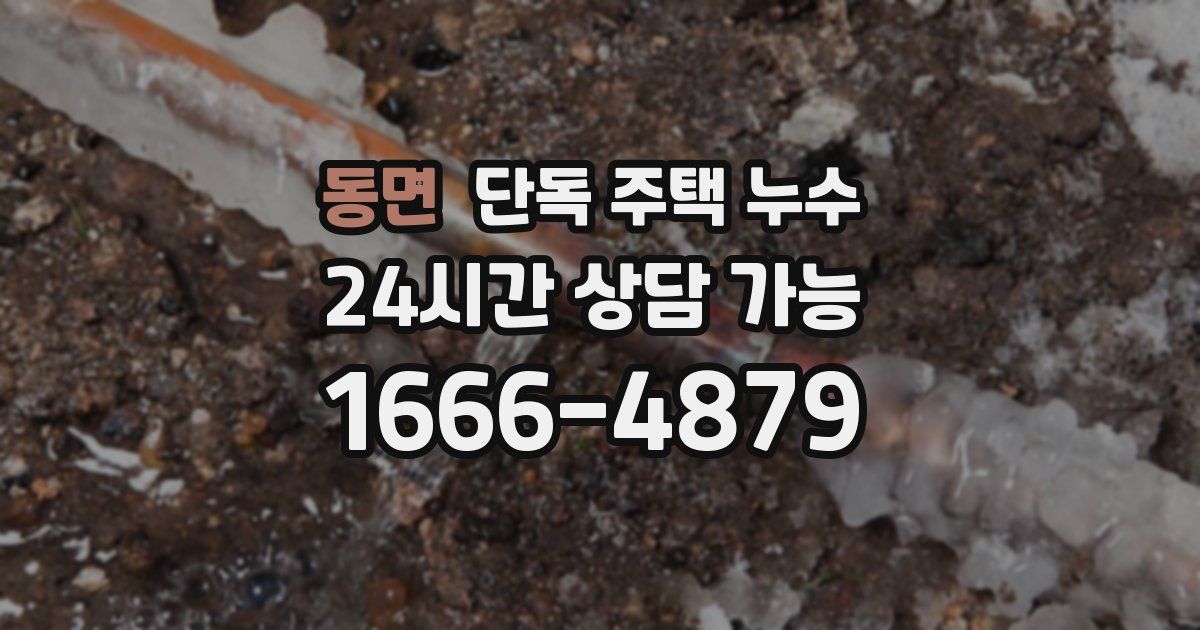 동면 단독 주택 누수