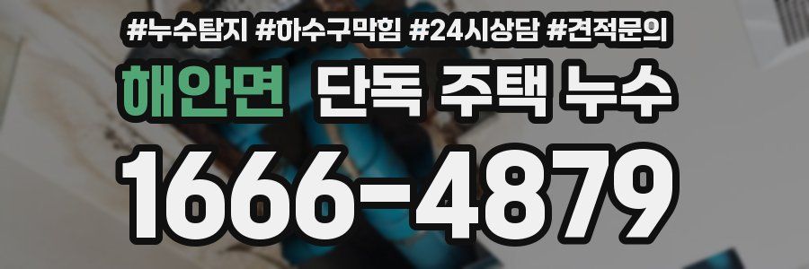 해안면 단독 주택 누수