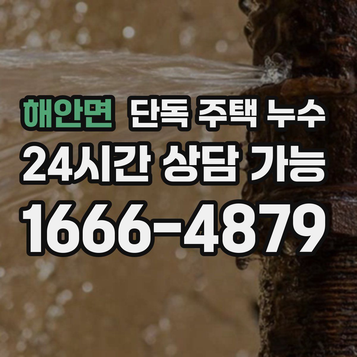 해안면 단독 주택 누수