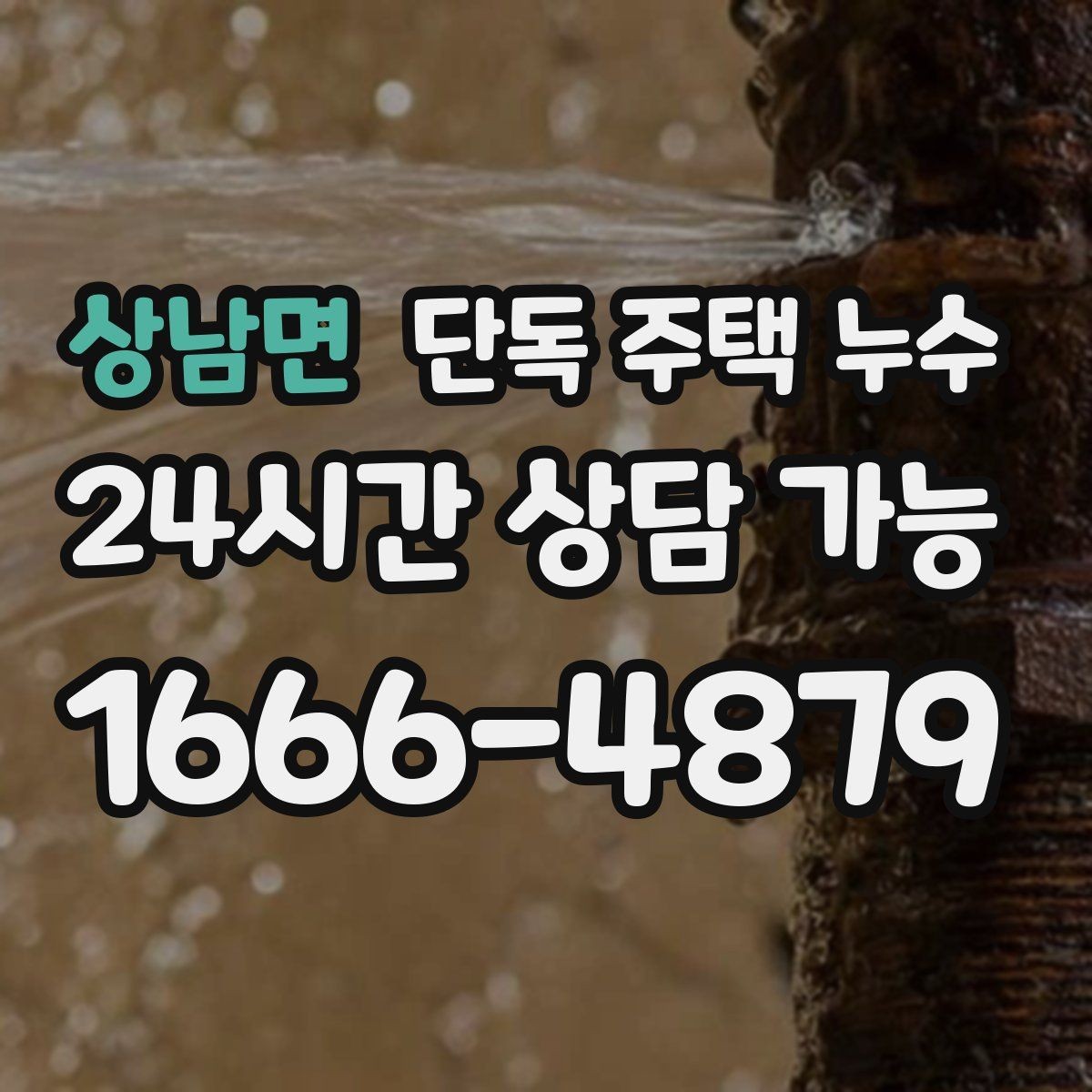상남면 단독 주택 누수 점검 순서만 알아도 재발 가능성이 줄어든다