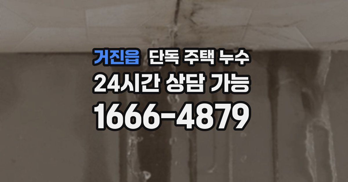 거진읍 단독 주택 누수