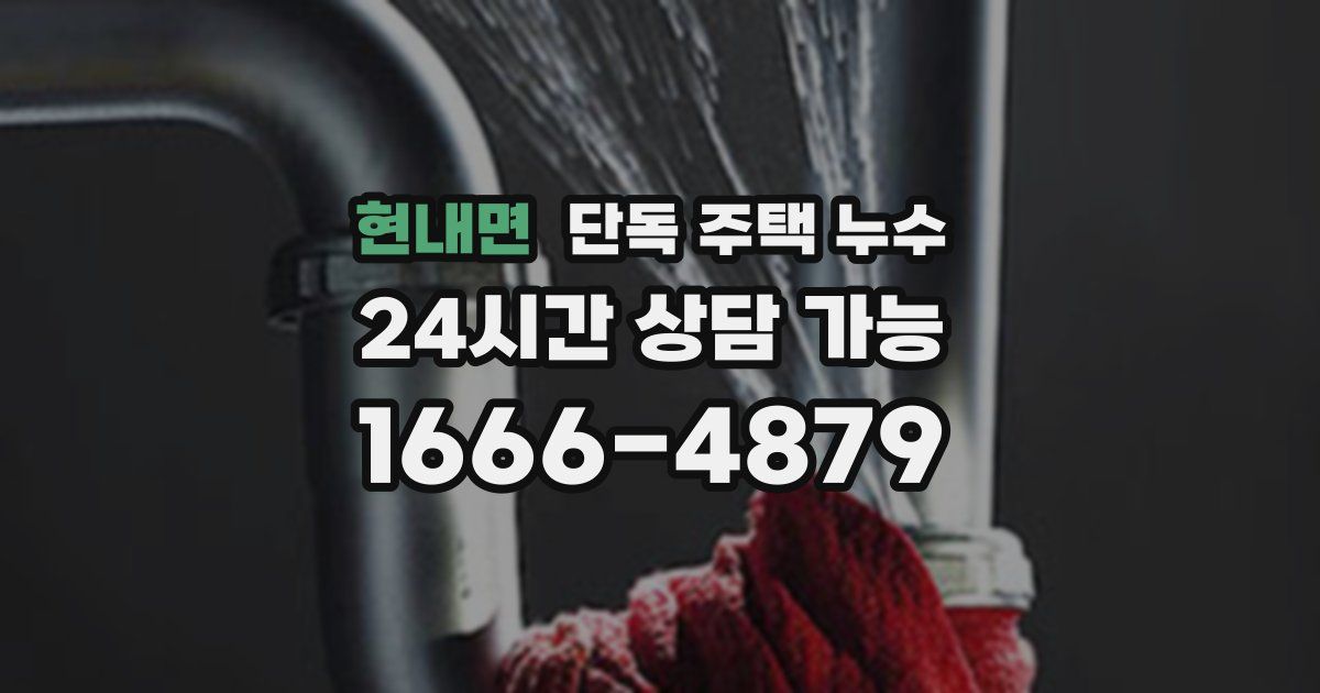 현내면 단독 주택 누수