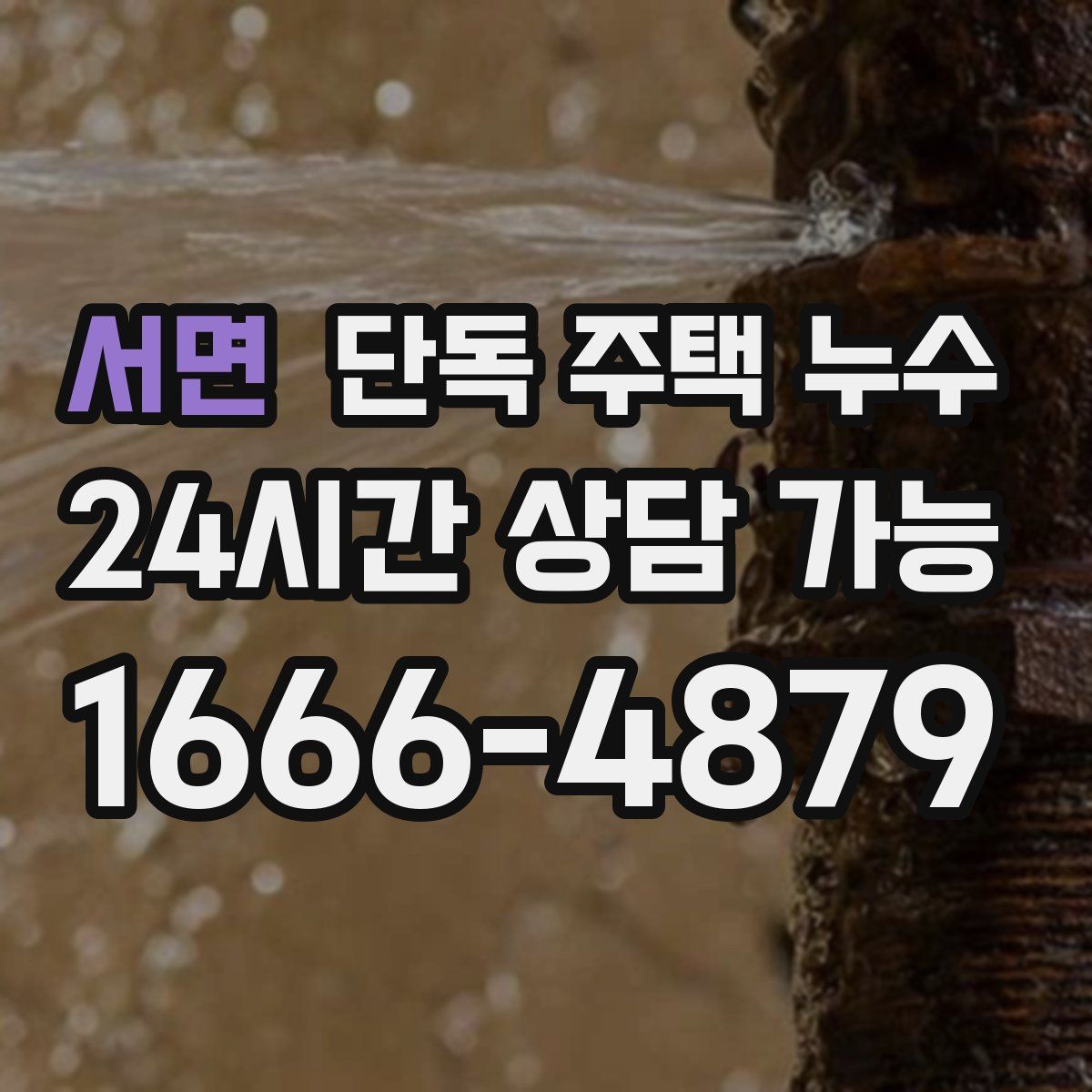 서면 단독 주택 누수