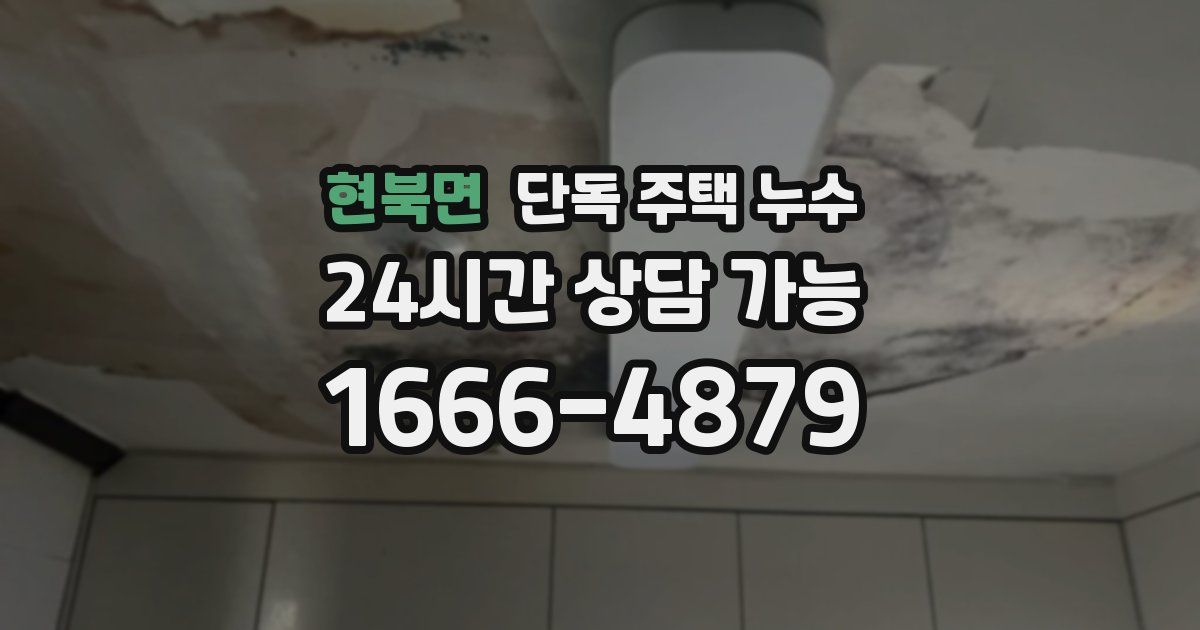 현북면 단독 주택 누수