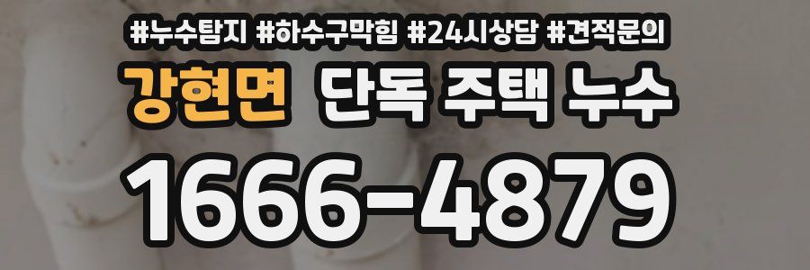 강현면 단독 주택 누수