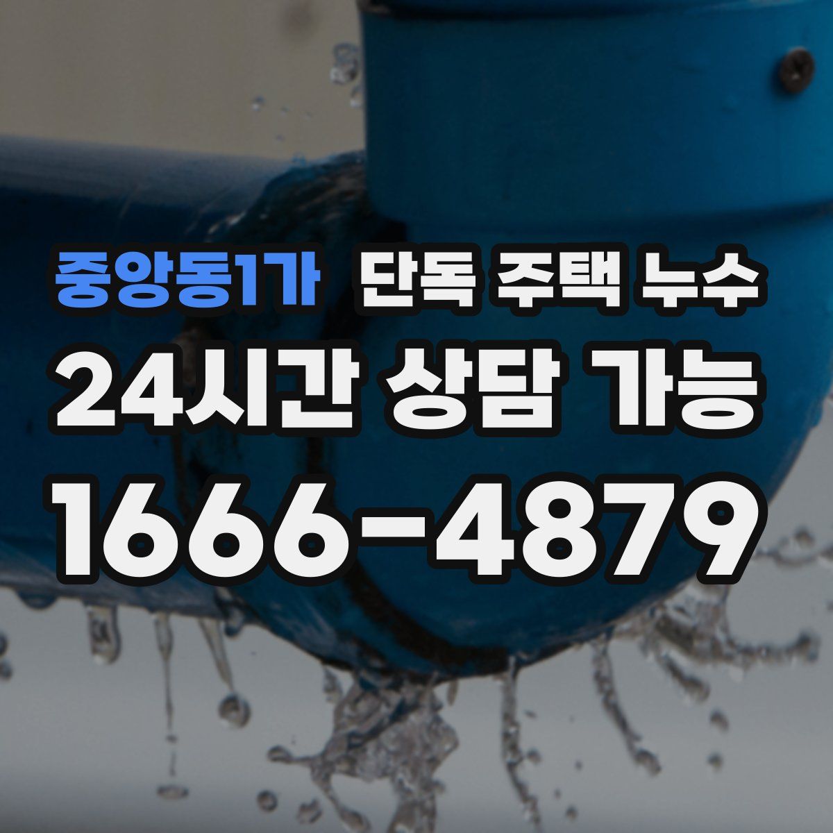 중앙동1가 단독 주택 누수