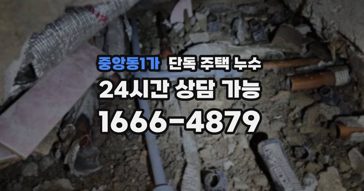 중앙동1가 단독 주택 누수