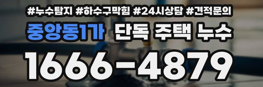 중앙동1가 단독 주택 누수