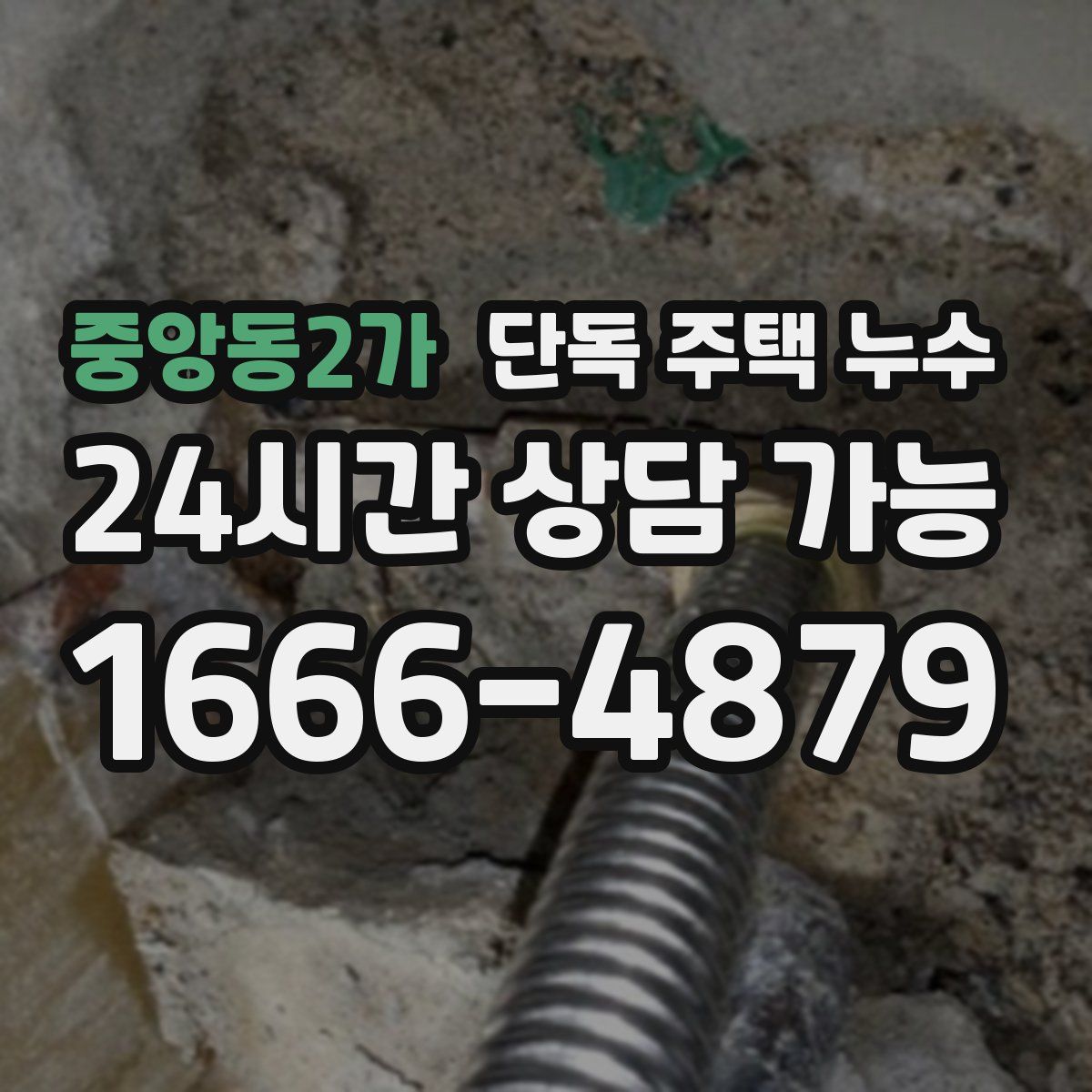 중앙동2가 단독 주택 누수