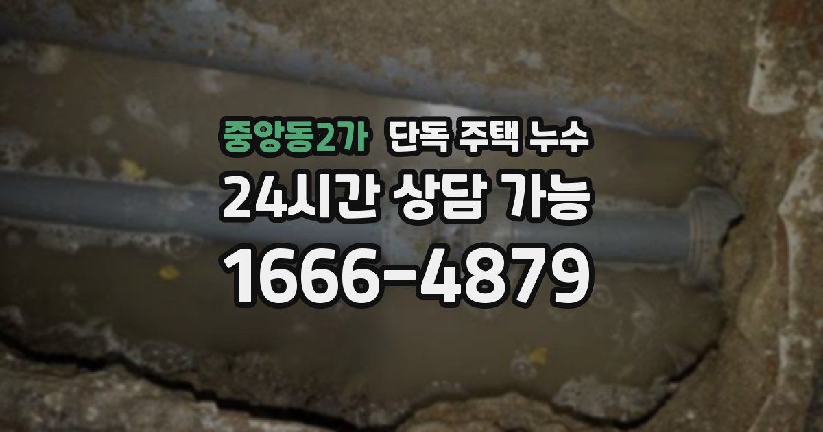 중앙동2가 단독 주택 누수