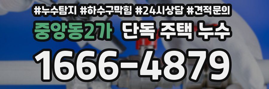 중앙동2가 단독 주택 누수