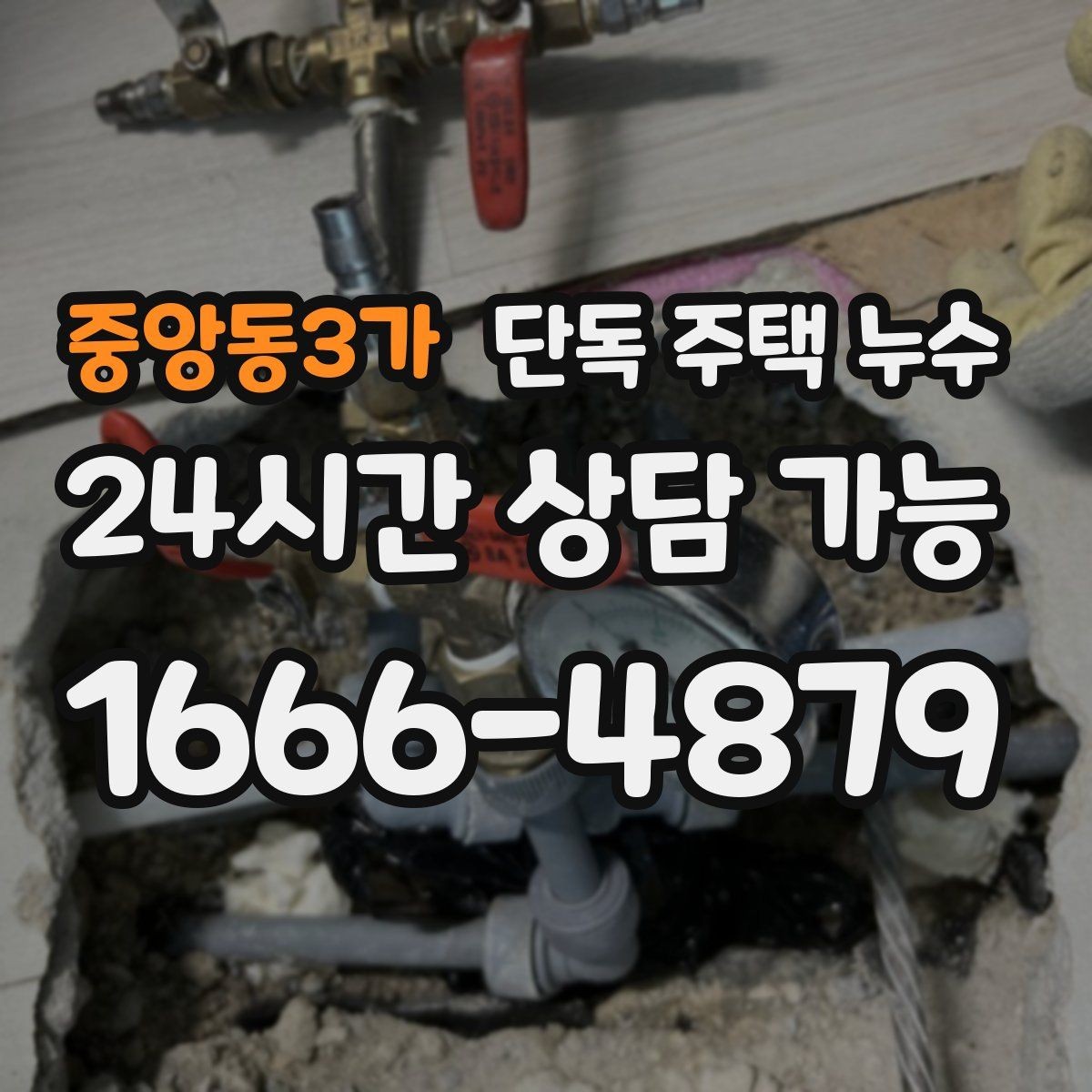 중앙동3가 단독 주택 누수 담장 쪽 물고임이 벽으로 스며드는 경우