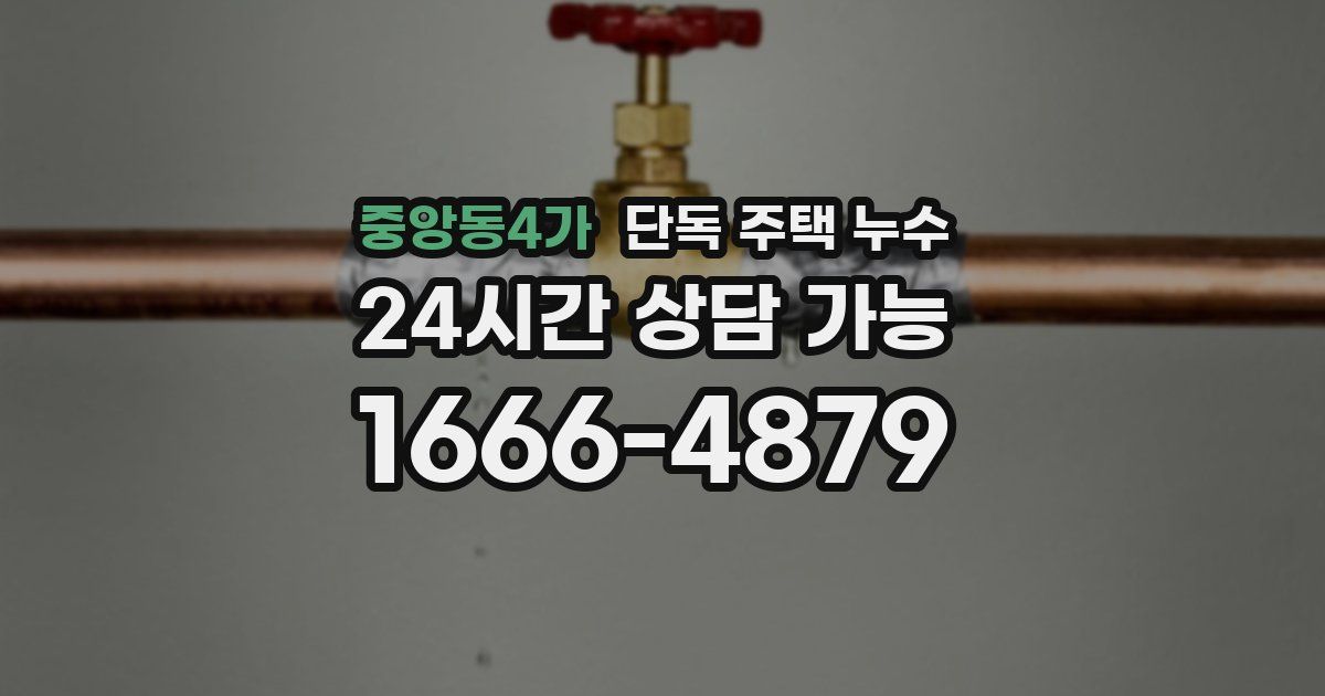 중앙동4가 단독 주택 누수