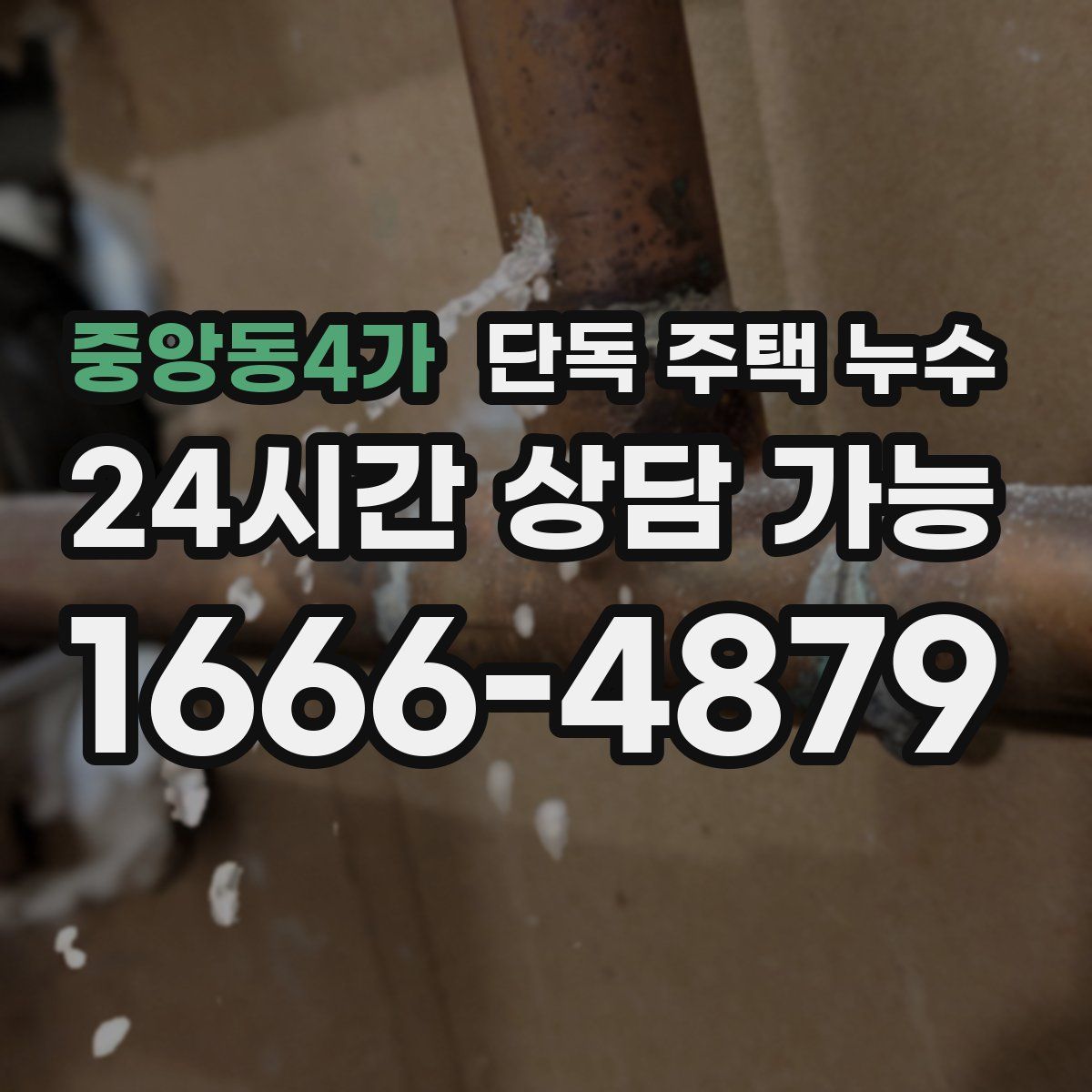 중앙동4가 단독 주택 누수